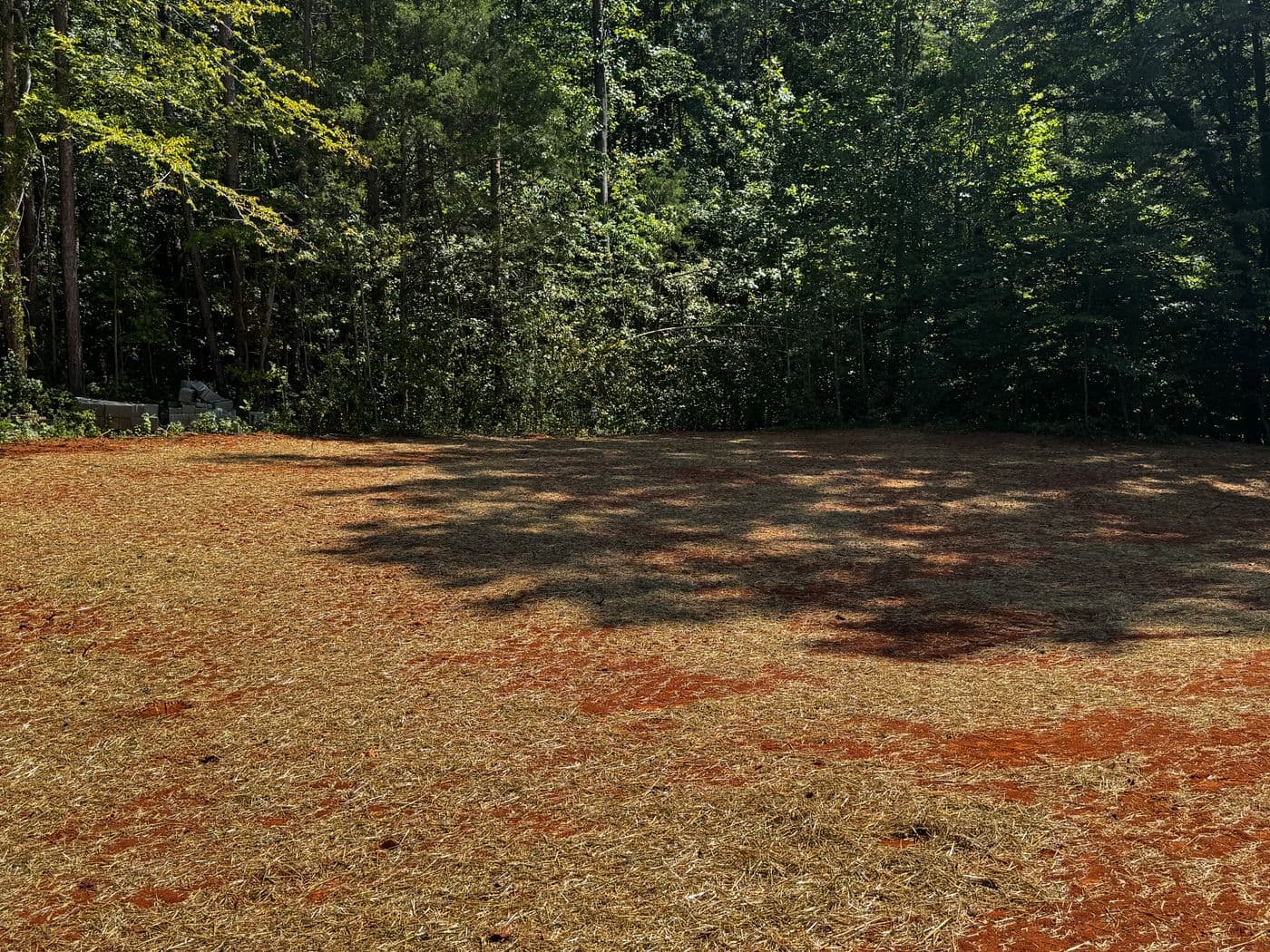 1.25 Acre lot with large back yard