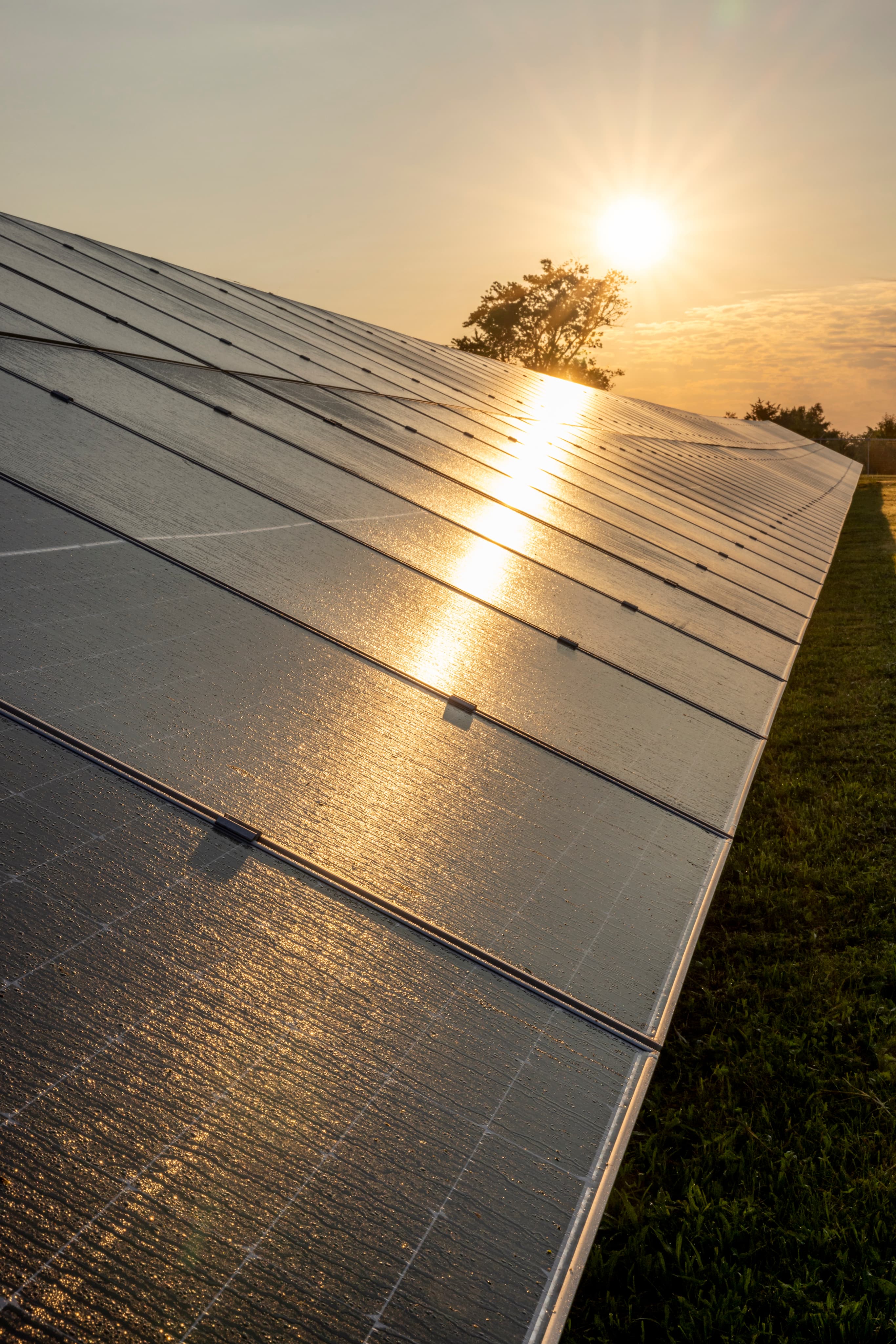 Solar panels reflect the sun while efficiently absorbing energy for power storage.