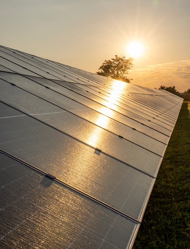 Solar panels reflect the sun while efficiently absorbing energy for power storage.