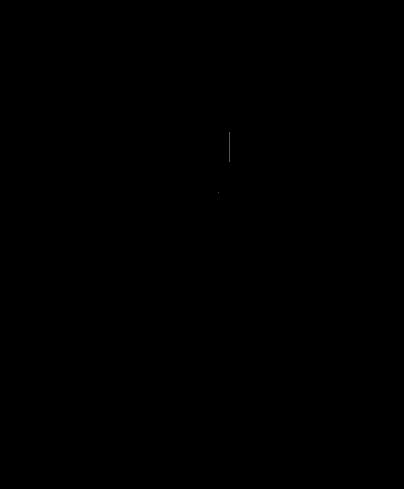 Floor plan for BELMONT