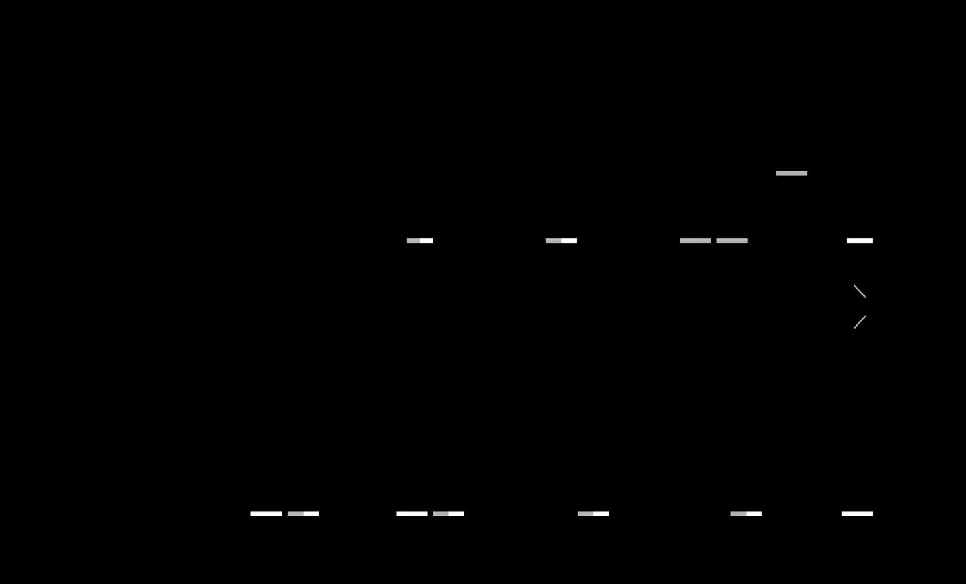 Floor plan for ULTRA FLEX 68